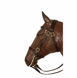 Traditional Portuguese bridle with square buckles 0808