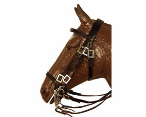 Traditional Portuguese double bridle with square buckles  0804