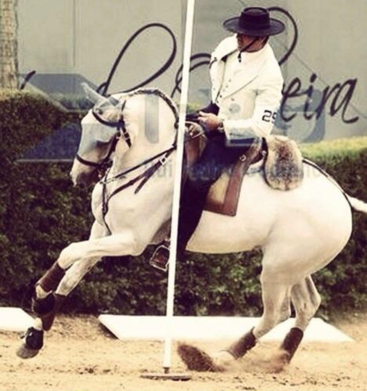 0110 Selim Miguel Fonseca Portuguese working equitation saddle